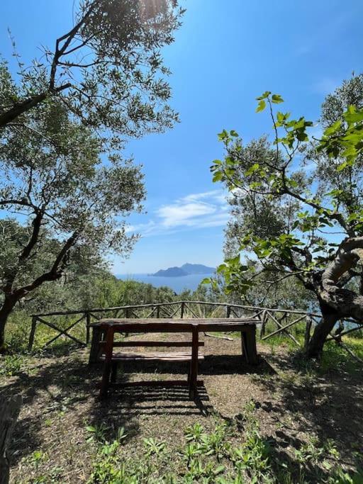 Holiday home Farm Seaview On Capri