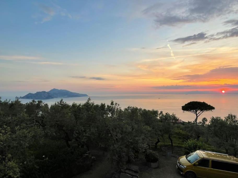Farm Seaview On Capri Termini