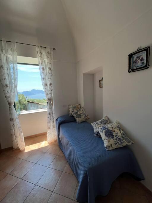 Farm Seaview On Capri Termini