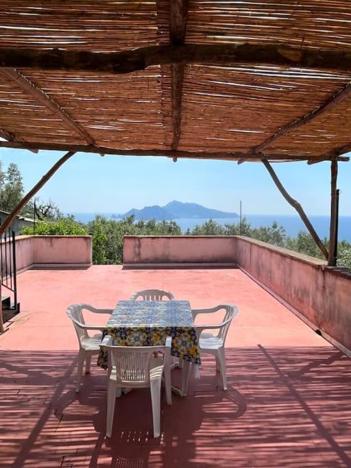 Farm Seaview On Capri * Termini